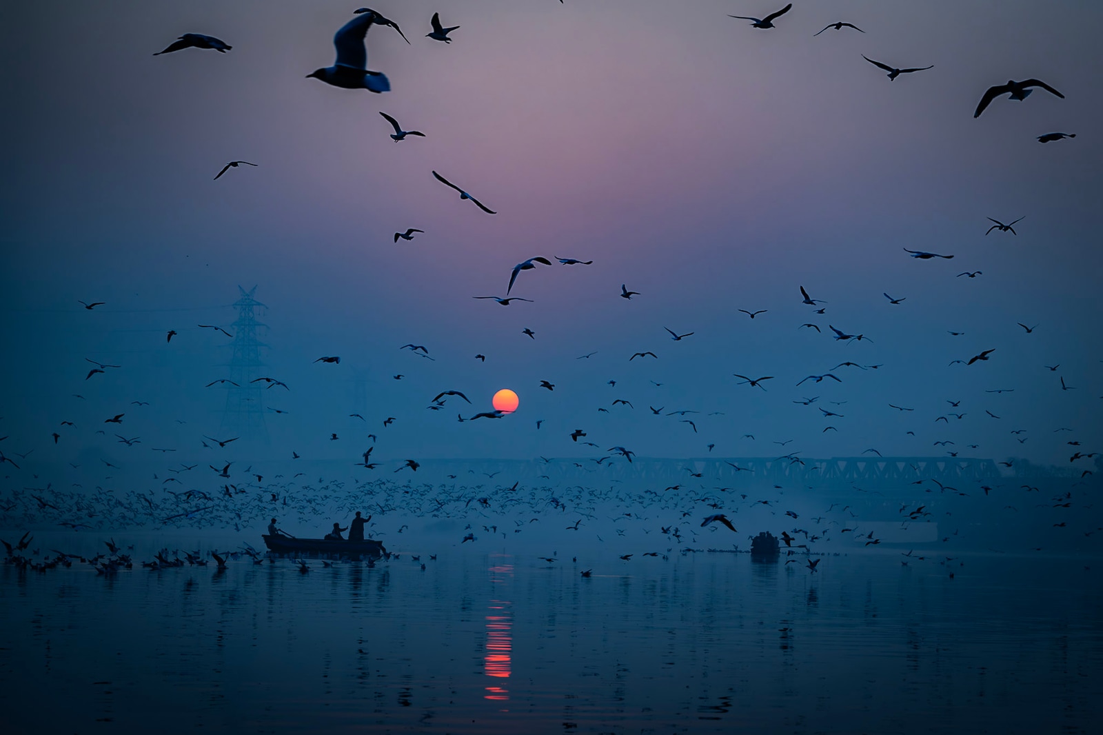 India 2026