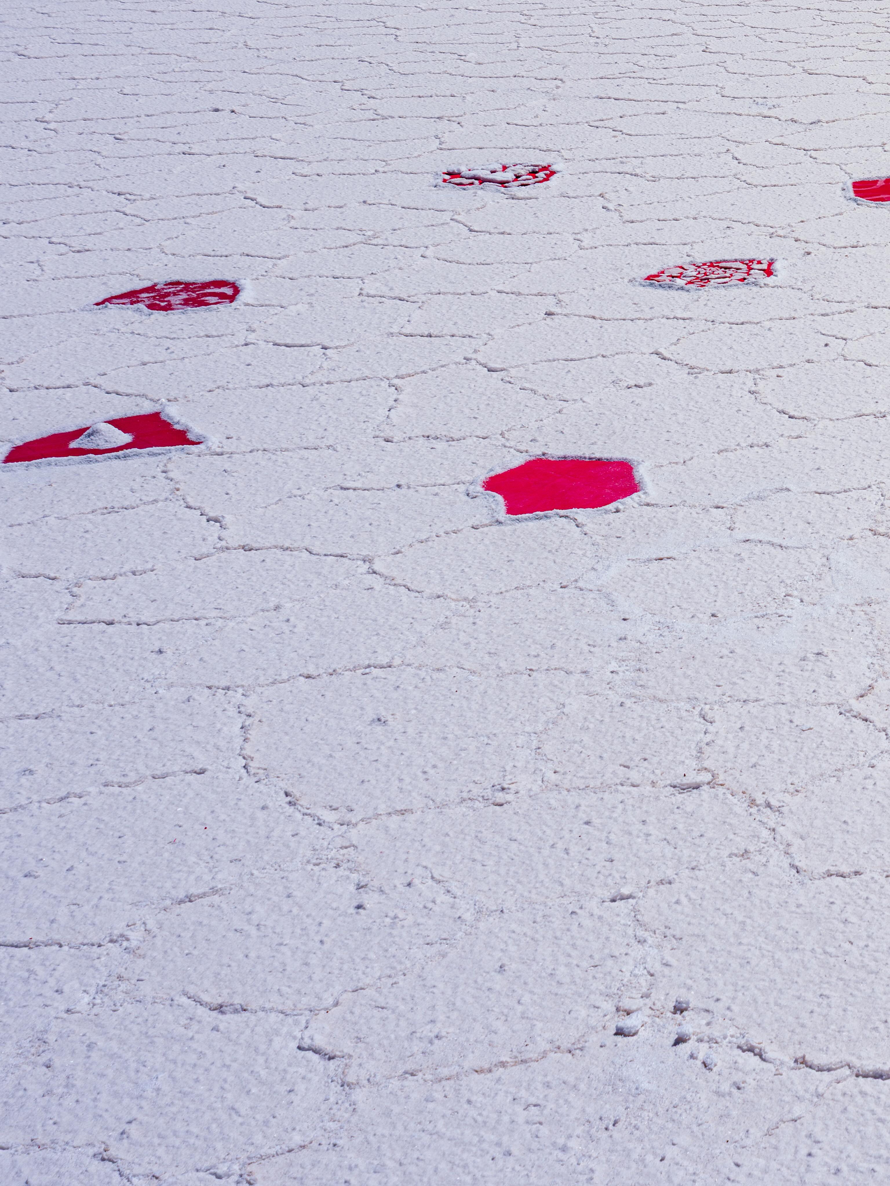 Au cœur de l’infini blanc du Salar d’Uyuni, @didier.zakine déploie un symbole…