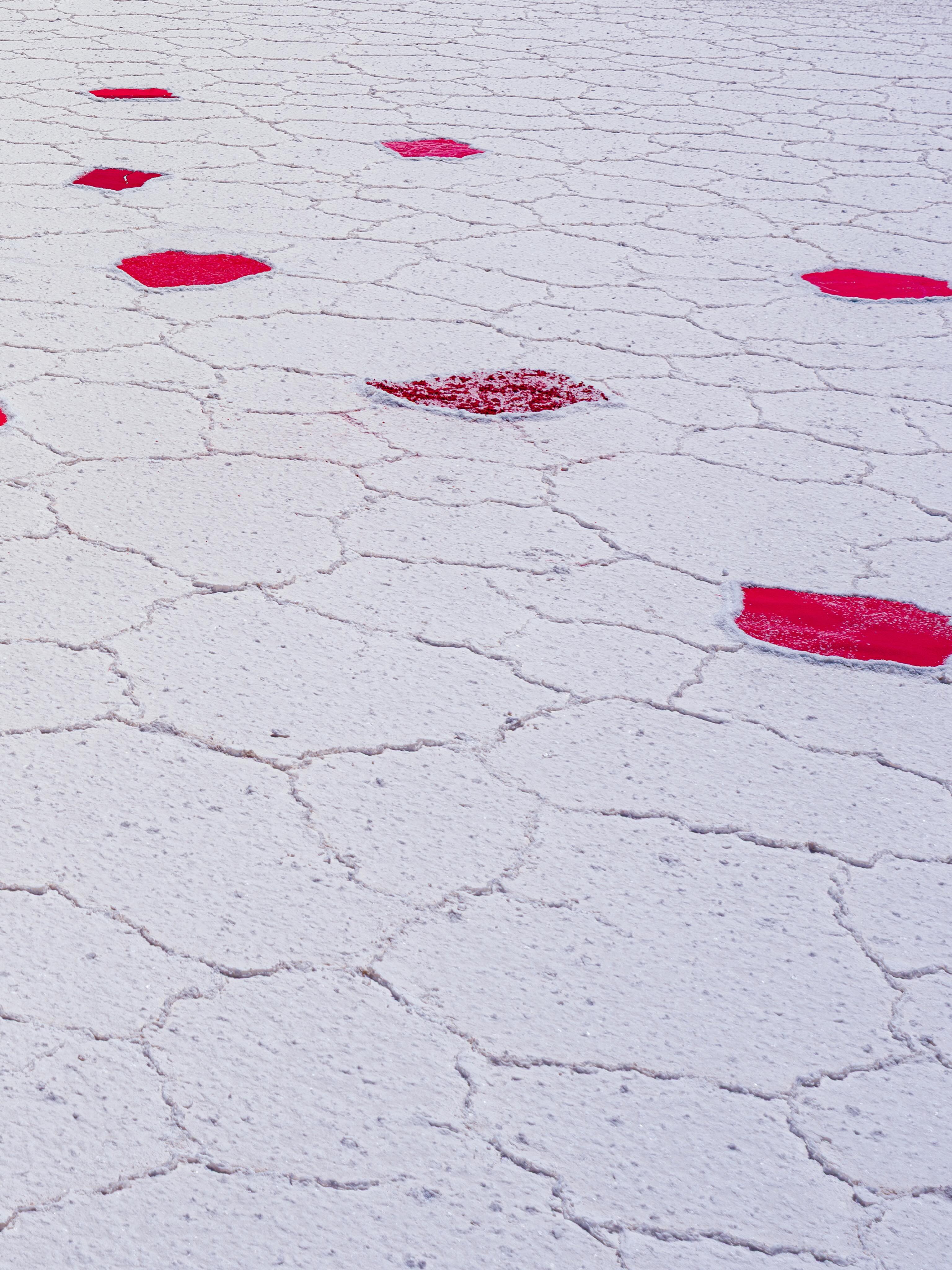 Au cœur de l’infini blanc du Salar d’Uyuni, @didier.zakine déploie un symbole…